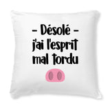 Coussin Esprit mal tordu 