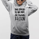 Sweat Capuche Adulte Sauf erreur j'ai raison Gris